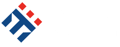 3iTeam Logo