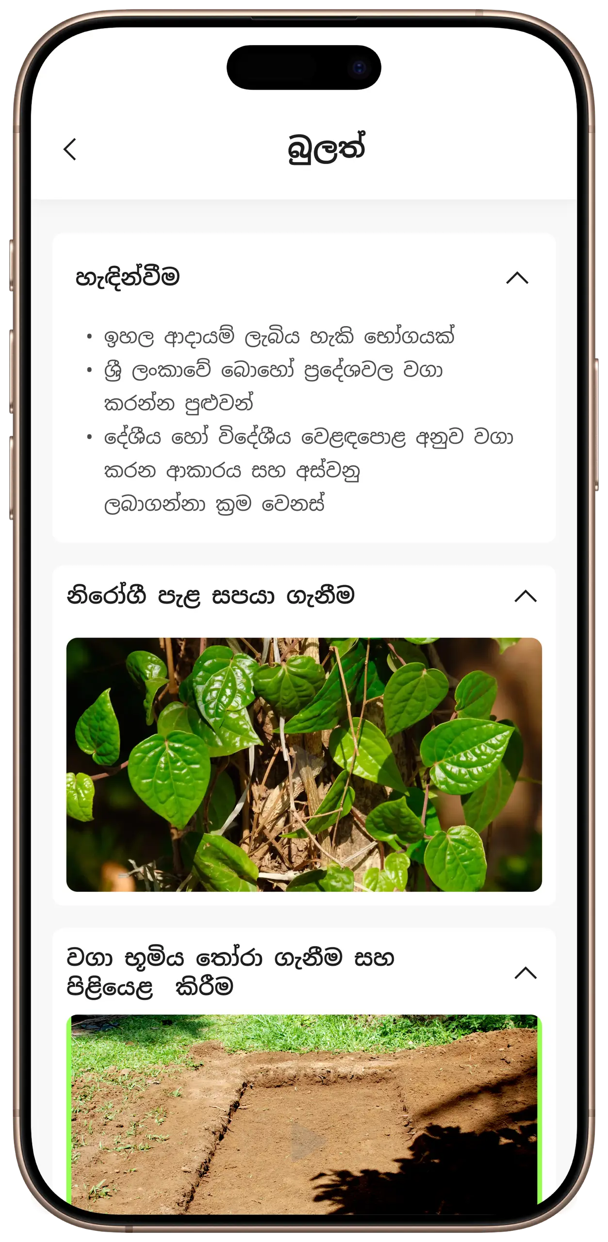 ExpoSpice - Screenshot 3